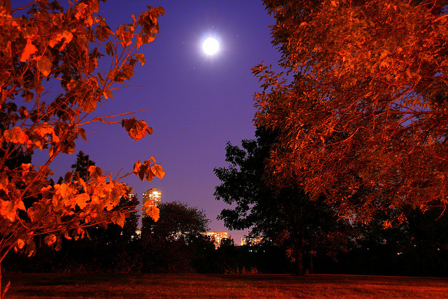 Moon vision in Autumn