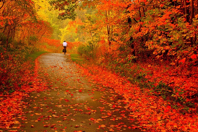 The ambience of Autumn