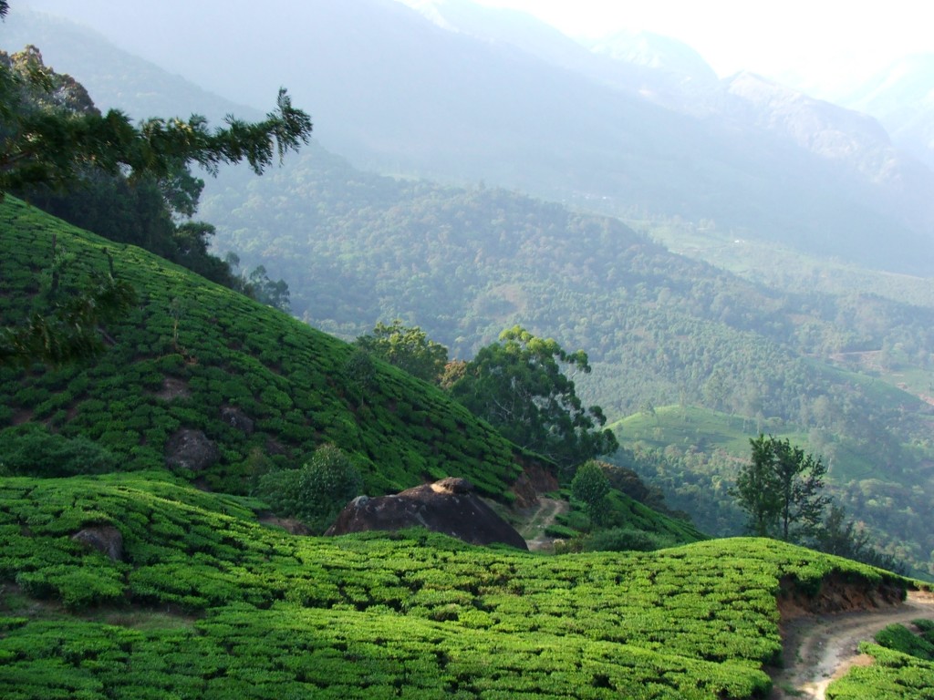 Munnar-Hillstations