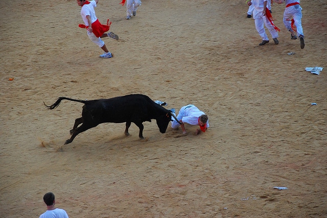 In Pamplona the bull wins