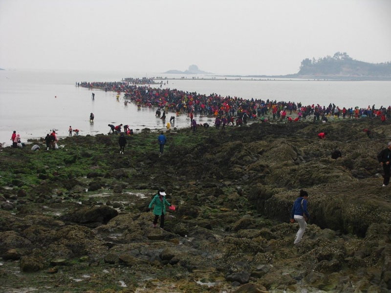 Miracle of Moses in Jindo Island
