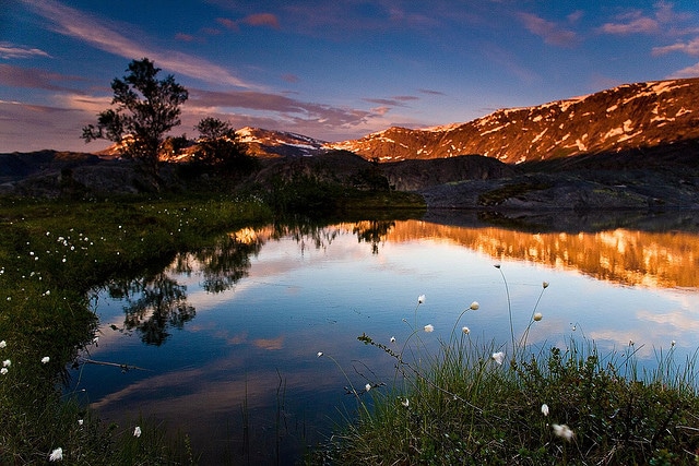 Norway Rago National Park