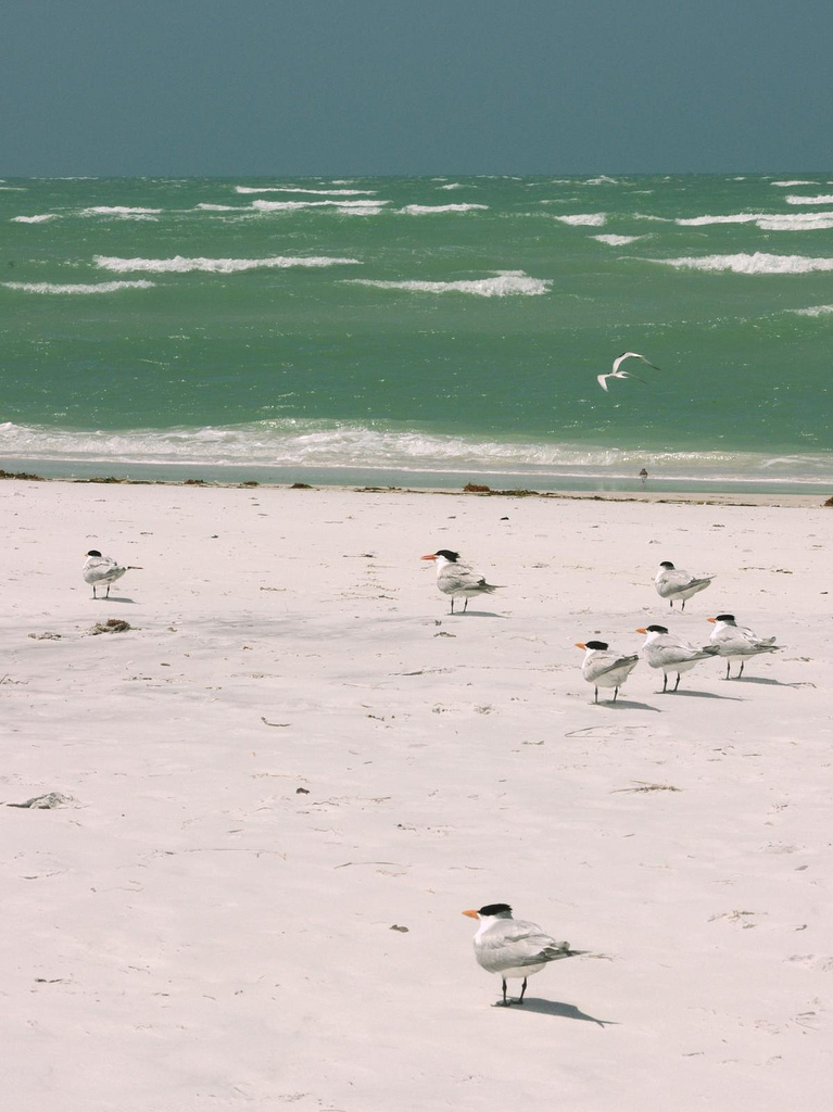 Anna Maria Island