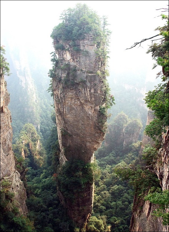 Avatar Hallelujah Mountain in China