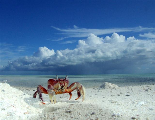 Christmas Island fishing adventure