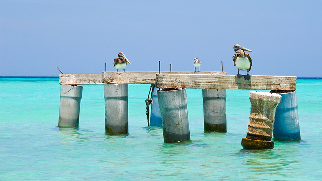 Los Roques - Venezuela