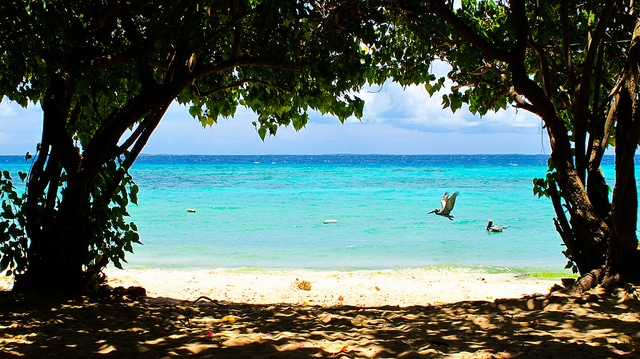 The beauty of Los Roques