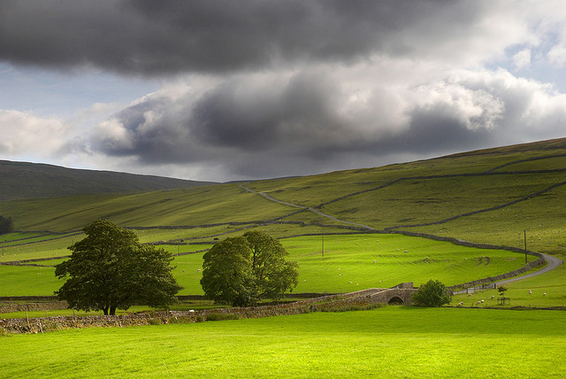 Yorkshire Dales in early Autumn light