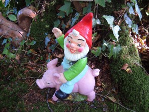 What to see in England | The gnome reserves in Devon