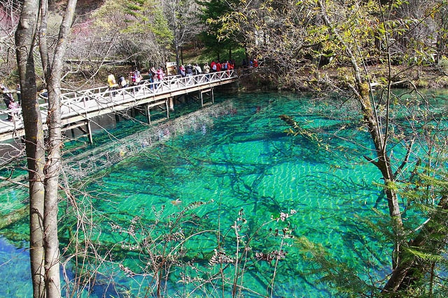 Bridge over the lake