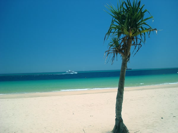 Moreton Island is a large sand island at the end of the Brisbane river