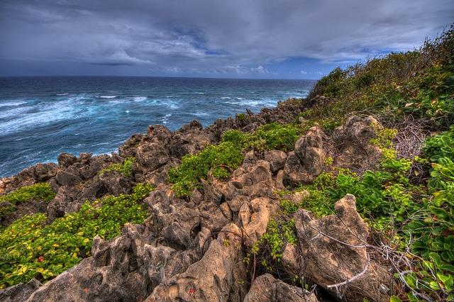 Barbados Ragged Point