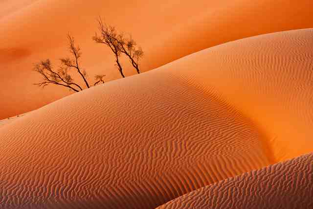 Rub' al-Khali (Empty Quarter), Oman