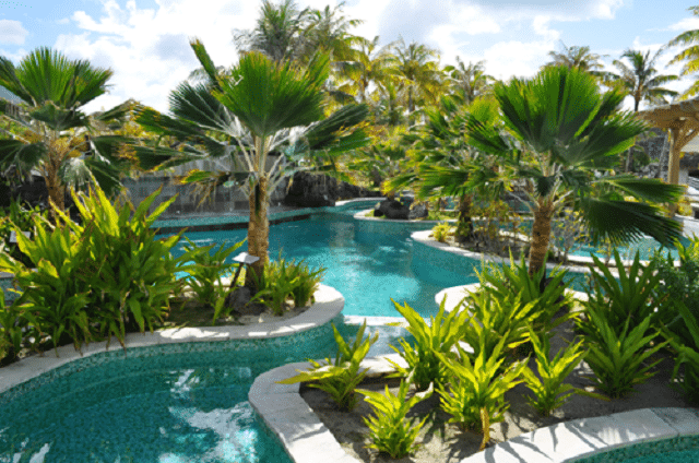 St Regis Bora Bora Resort Oasis