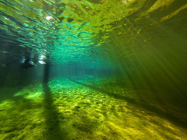 Ginnie Springs, Florida