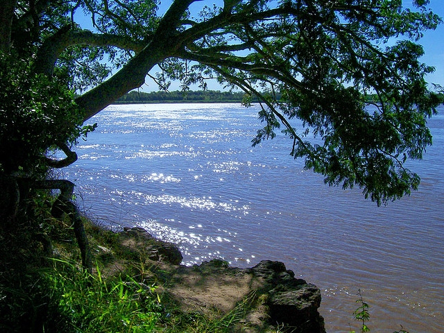 Isla del Cerrito