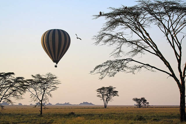 National Park Serengeti, Tanzania