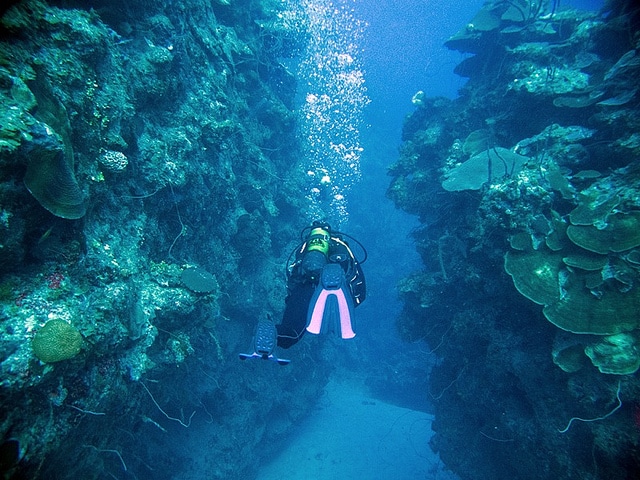 Diving in Cayo Levisa