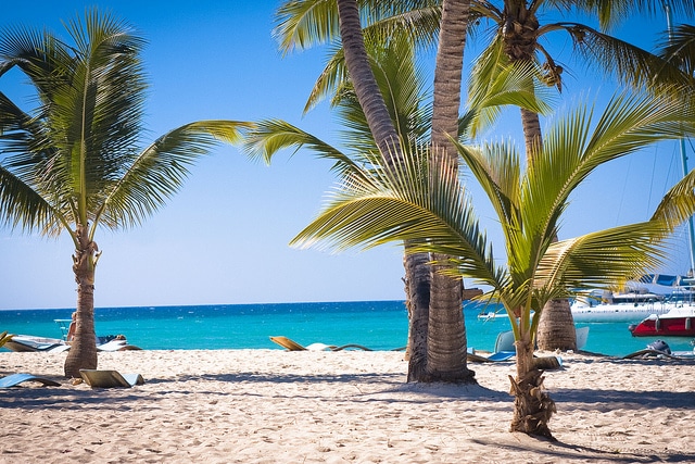 Starfish Beach