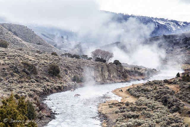 The boiling river