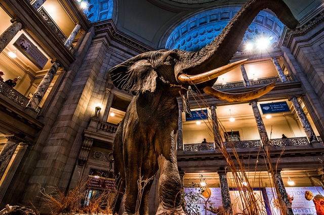 Smithsonian Natural History Museum