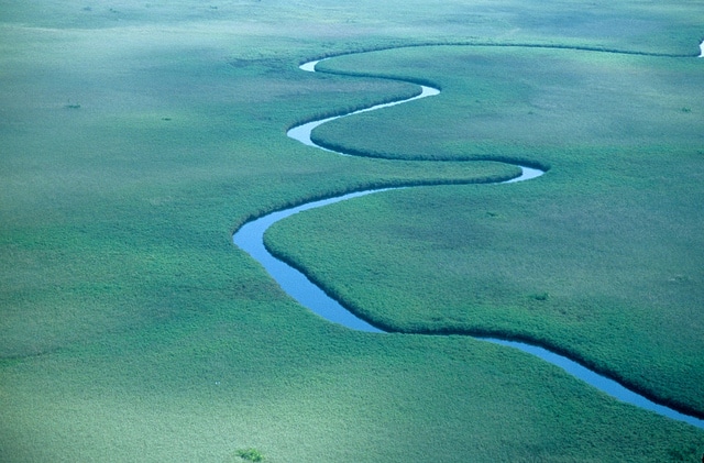 Botswana Delta