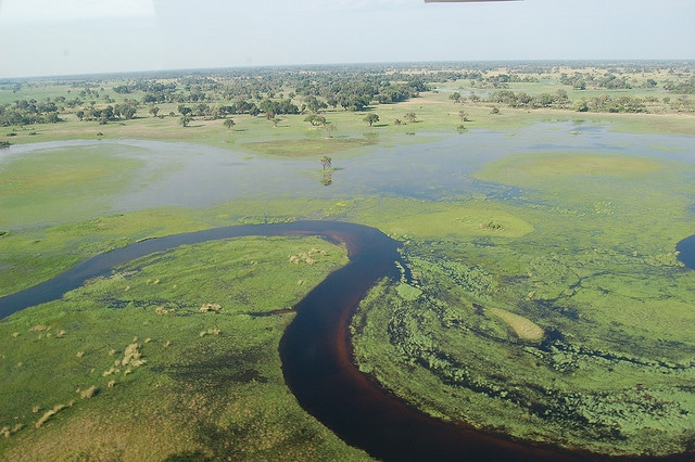 Botswana Delta