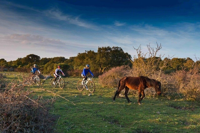 Sardinia Mountain Biking