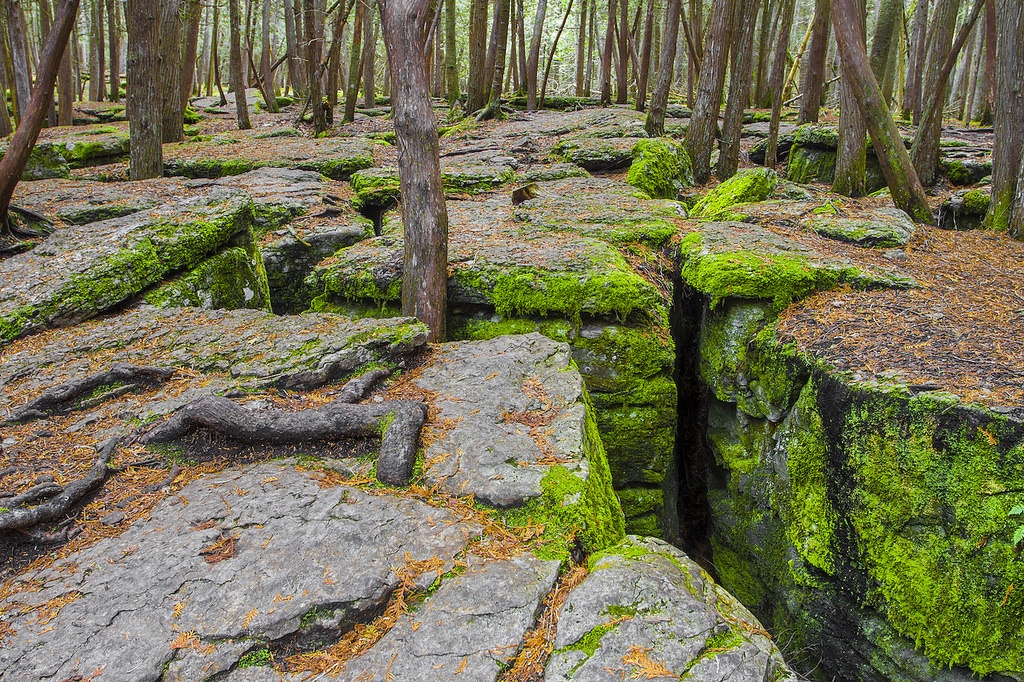 Warsaw Caves