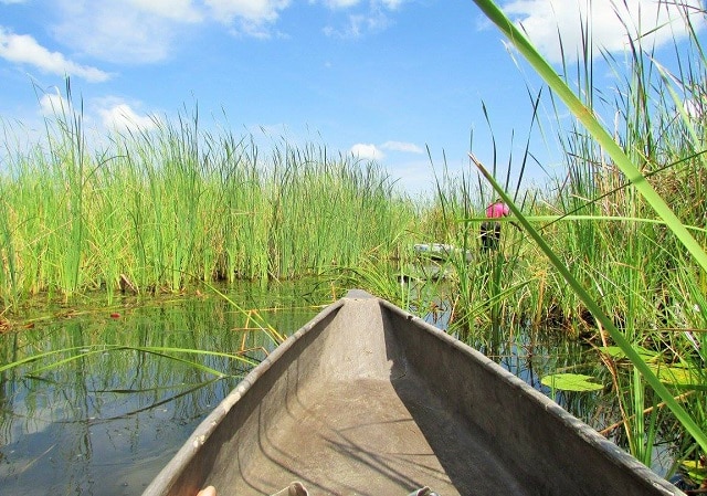 Okavango Delta Mokoro