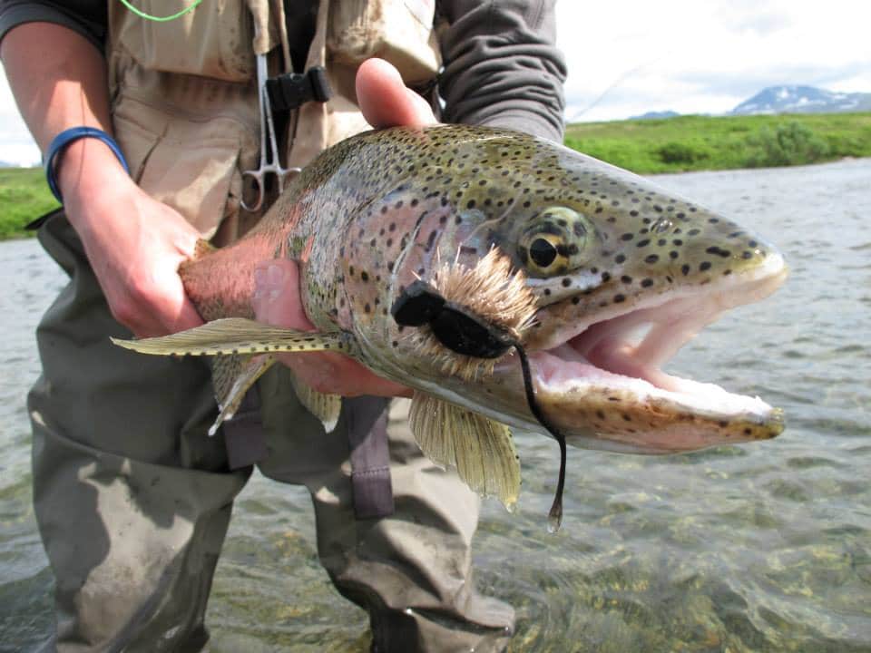 Idaho Fishing