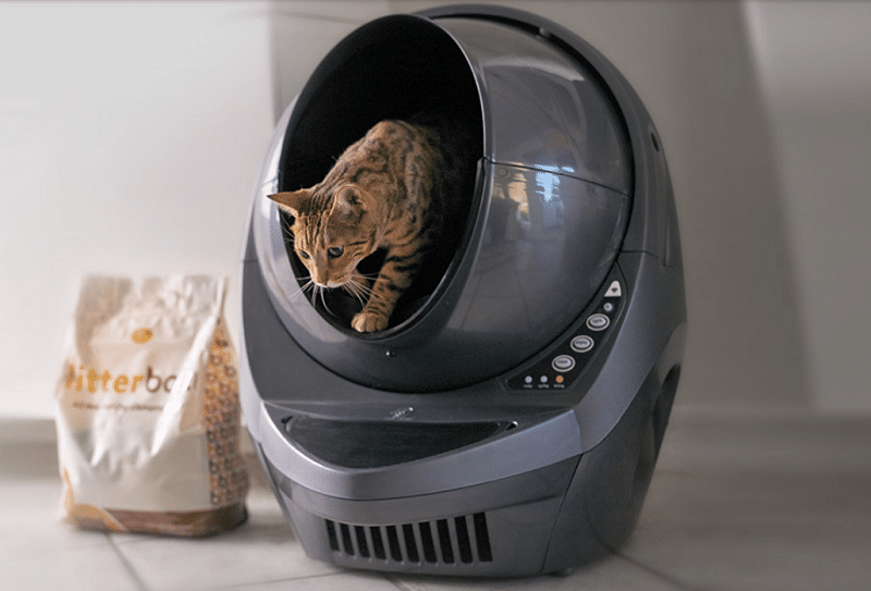 Litter robot reviews clearance 2019