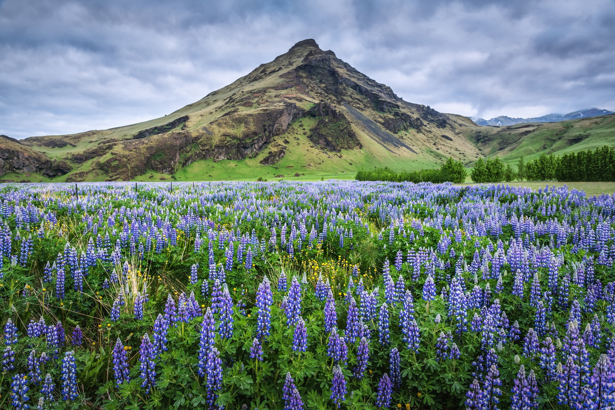 Iceland