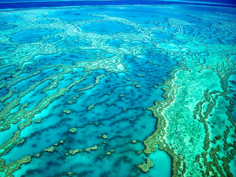 Great-Barrier-Reef