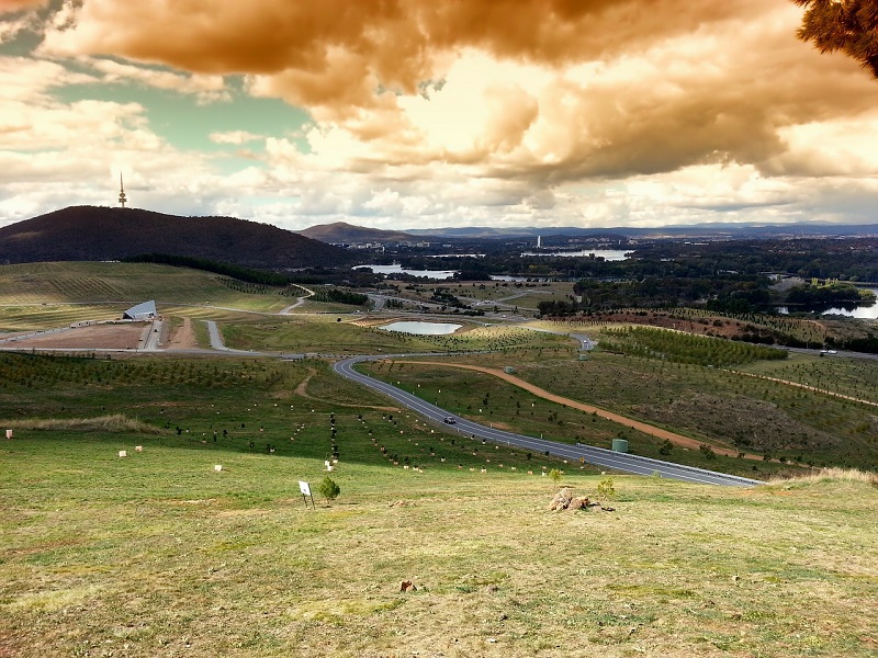 Canberra Fields