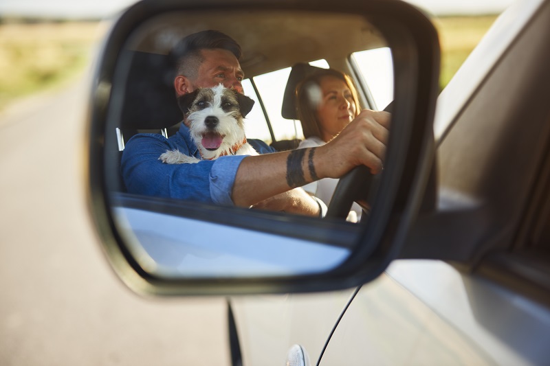 Detail of summer road trip