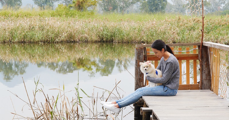 Woman be with her dog in countryside