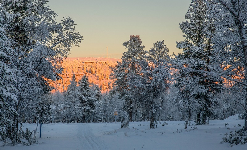 Lapland family