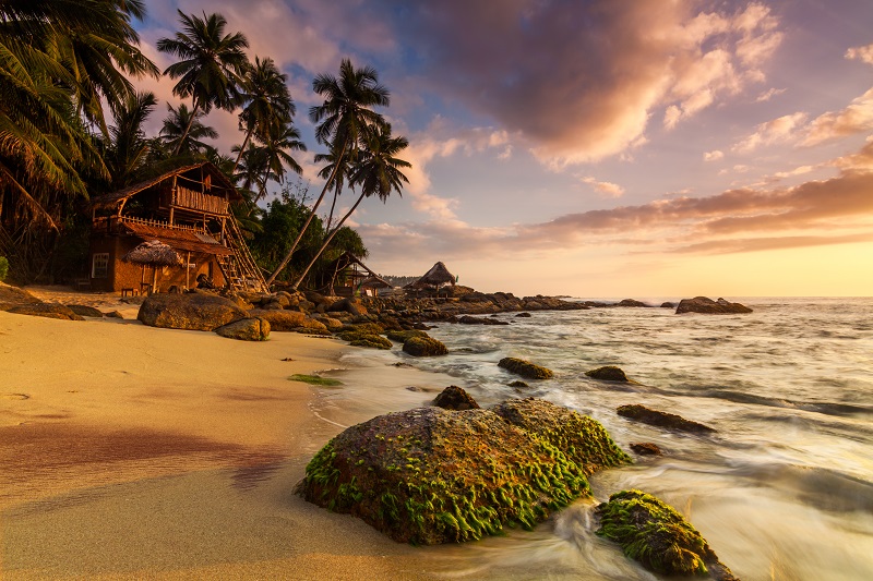 Sandy beach at dawn. Sri Lanka