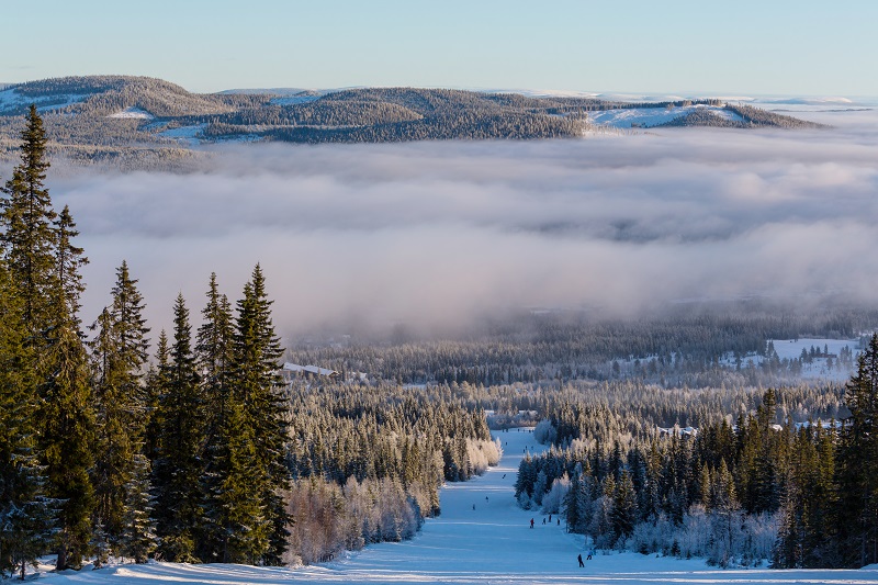 Ski resort