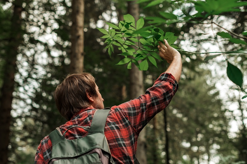 Man hiking in forest alone on active summer vacation