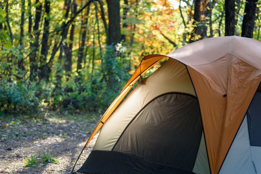 closeup of one tent in woods with early morning light shining th