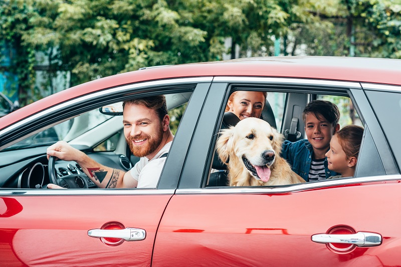 beautiful young family travelling by car with dog