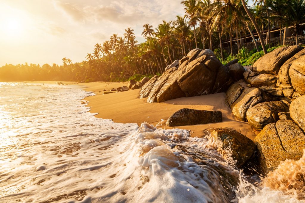 Beautiful sunset on the beach with palms on a Caribbean island