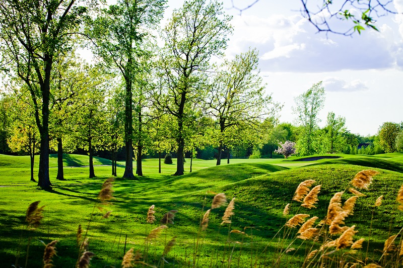 Old and beautiful bumpy golf course