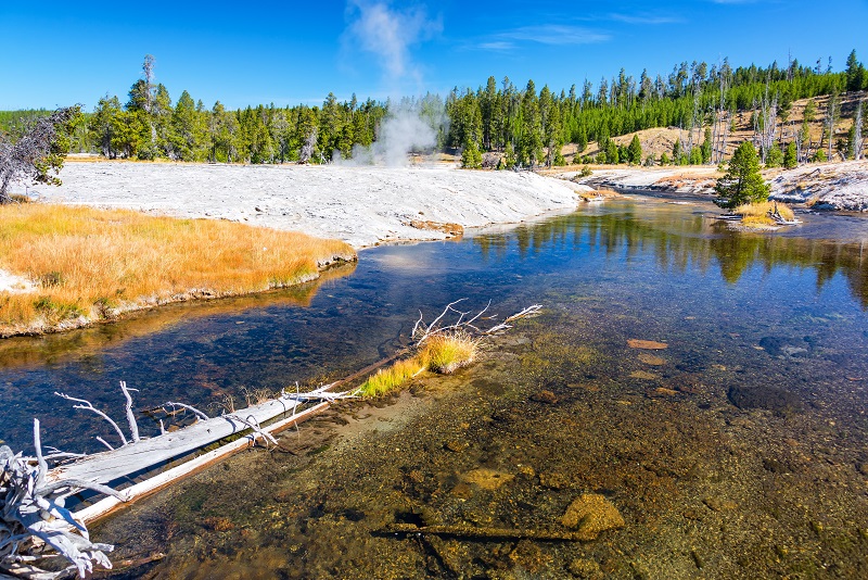 Firehole River in Yellowstone National Park