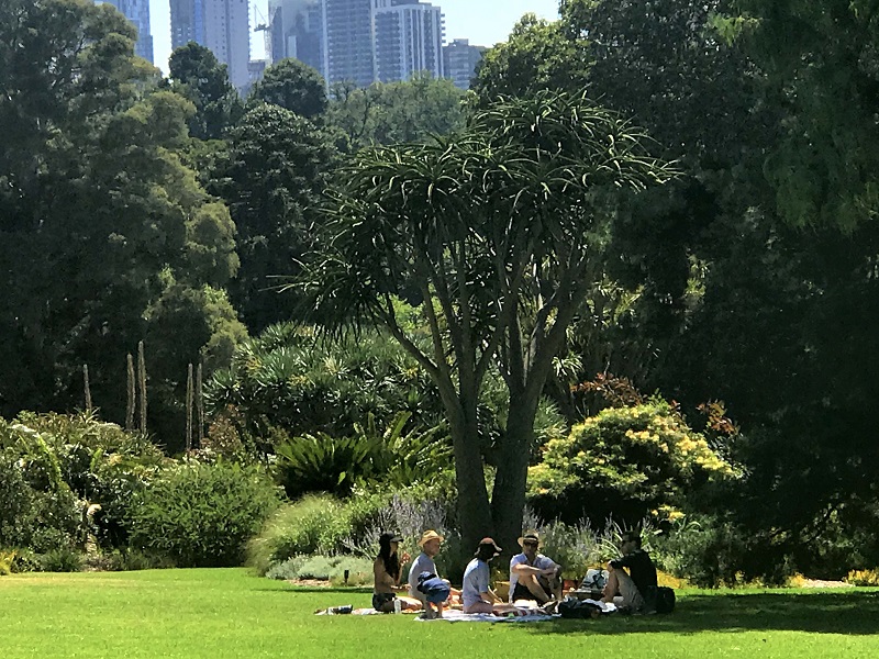 picnic-at-the-parkmelbourne-australia