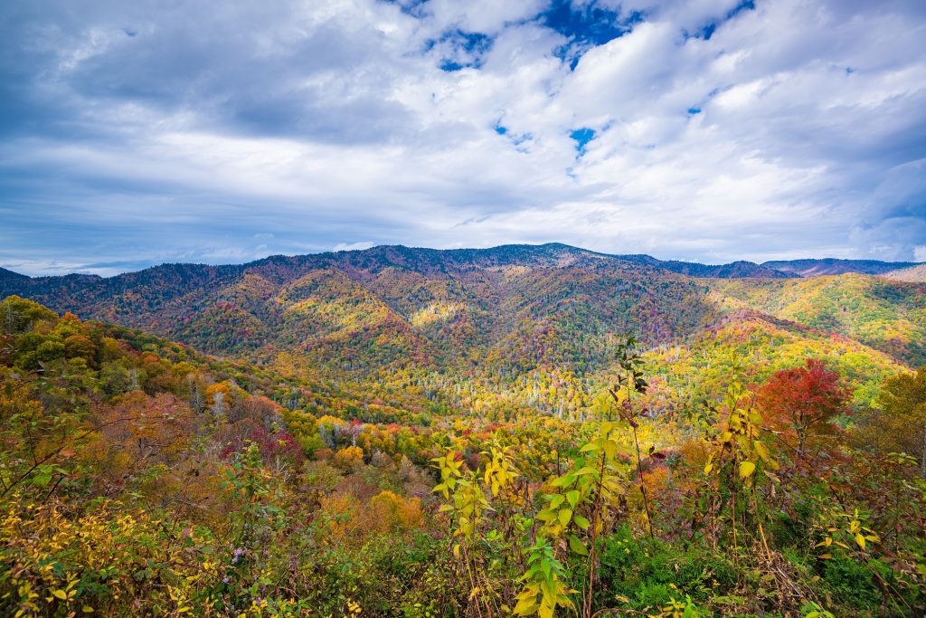 Great Smoky Mountains National Park, Tennessee, USA