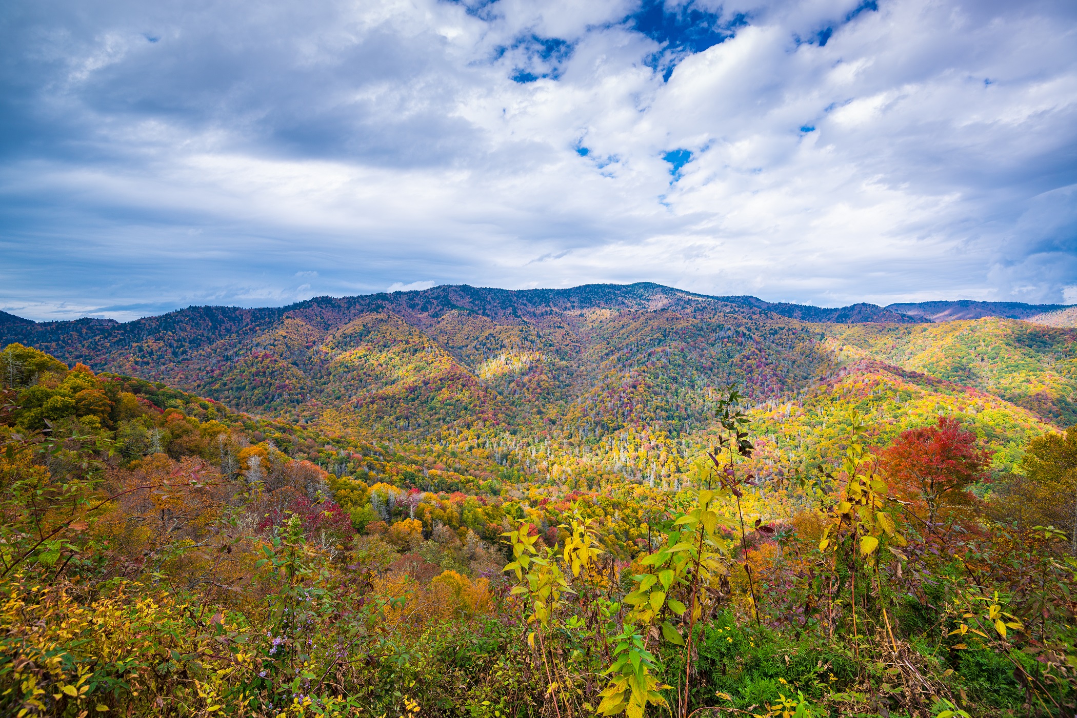 Where To Go In A Smoky Mountain Vacation