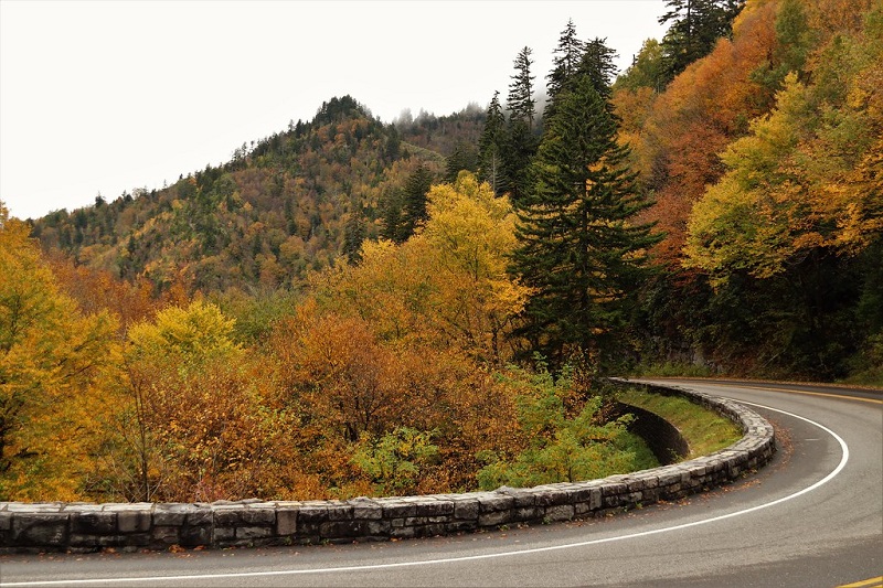 Great Smoky Mountains National Park, Tennessee, USA